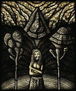 Wojciech Bendyk, TENEBROSA II